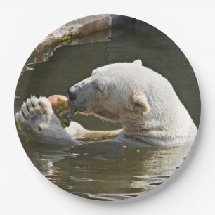 Assiettes En Carton Moment de l'ours polaire mangeant un fruit