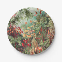 Mosses, Muscinae Laubmoose par Ernst Haeckel