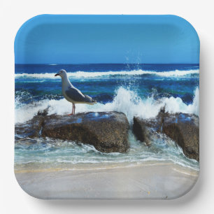 Assiettes En Carton Mouette Sur Les Rochers De Plage,