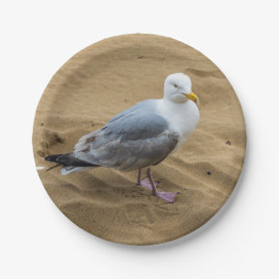 Assiettes En Carton Mouette sur plaque de papier de plage
