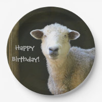 Moutons de joyeux anniversaire