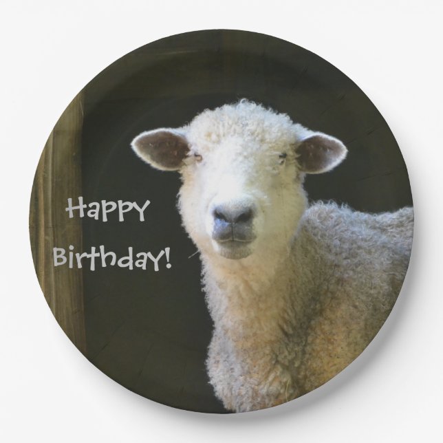 Assiettes En Carton Moutons de joyeux anniversaire (Devant)