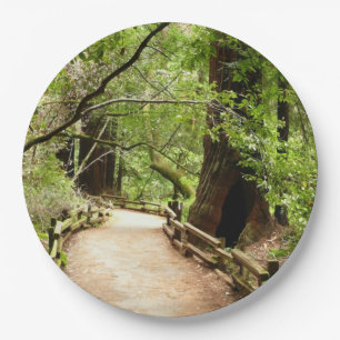 Assiettes En Carton Muir Woods Path II Nature Photography