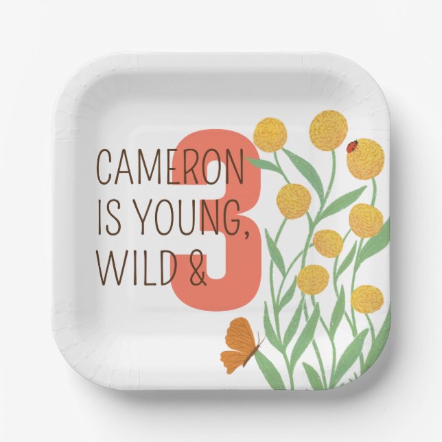 Assiettes En Carton Natural Wonder fête d'anniversaire (Recto)