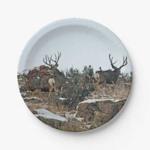 Assiettes En Carton Neige de cerfs communs de mâle première