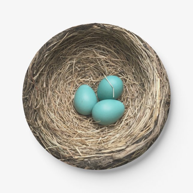 Assiettes En Carton Nid d'oiseaux avec les oeufs bleus (Devant)