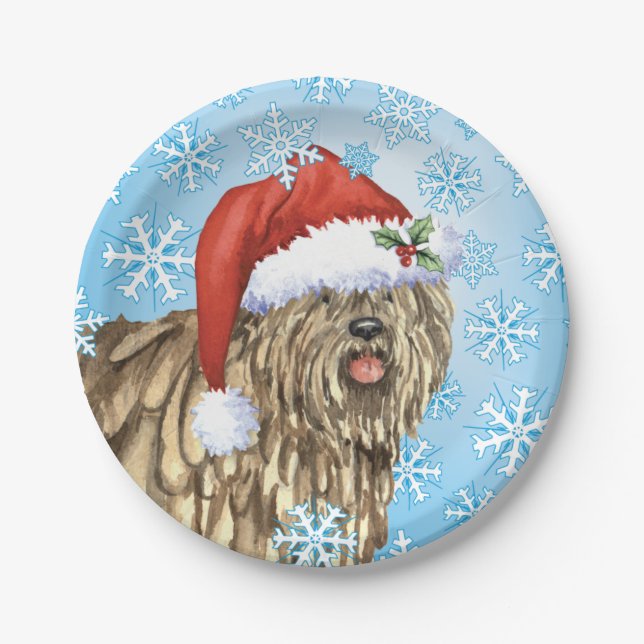 Assiettes En Carton Noël Bergamasco (Devant)