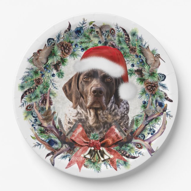 Assiettes En Carton Noël Gsp (Devant)
