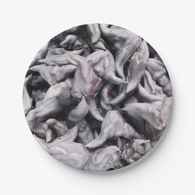 Assiettes En Carton Noix de buffle - Water Caltrop (Devant)