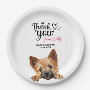 Assiettes En Carton Norwich Terrier