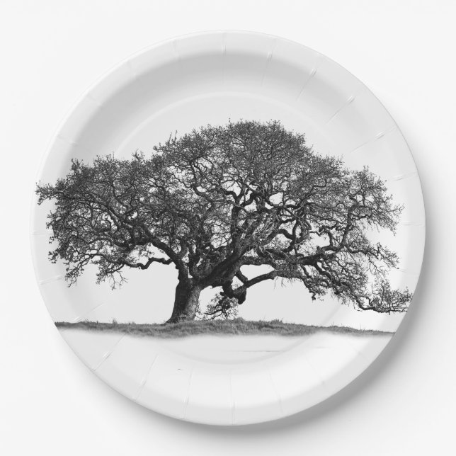 ASSIETTES EN CARTON OAK TREE (Devant)