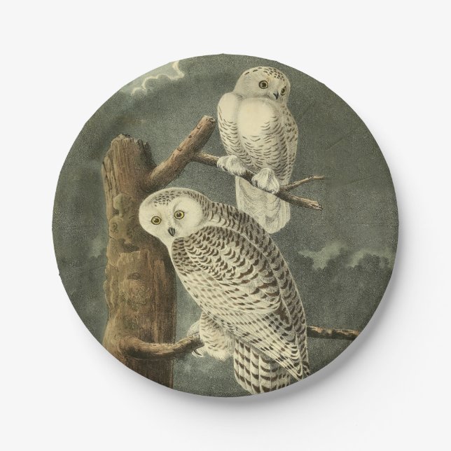 Assiettes En Carton OEuvre d'OEuf Audubon (Devant)