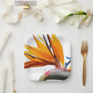 Assiettes En Carton Oiseau tropical du Paradis Plante Floral