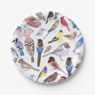 Assiettes En Carton Oiseaux d'Amérique - animaux de compagnie et oise