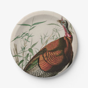 Assiettes En Carton Oiseaux sauvages de Turquie d'Amérique Audubon Im