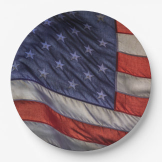 Assiettes En Carton Old Glory