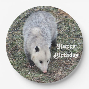 Assiettes En Carton Opossum Photo Anniversaire