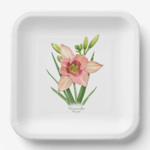 Assiettes En Carton Orange Daylily Flower Botanical Art