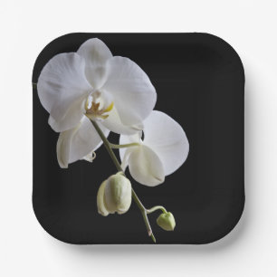 Assiettes En Carton Orchidée blanche en noir