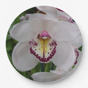 Assiettes En Carton Orchidée blanche II Élégante florale