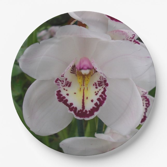 Assiettes En Carton Orchidée blanche II Élégante florale (Devant)
