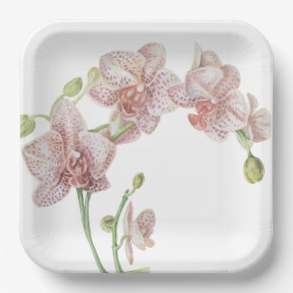 Assiettes En Carton Orchidée illustrée à la main