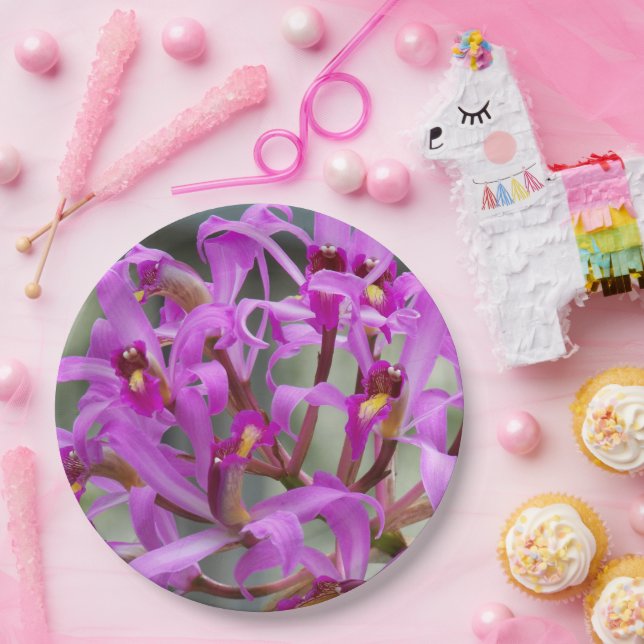 Assiettes En Carton Orchidées laéliennes violettes Florales (Fête)
