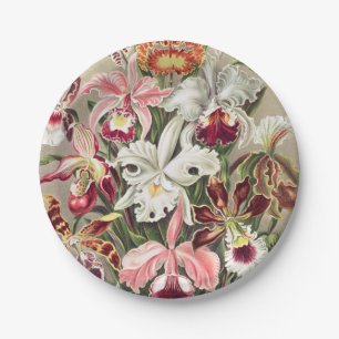 Assiettes En Carton Orchidées, Orchidées Denusblumen par Ernst Haeck