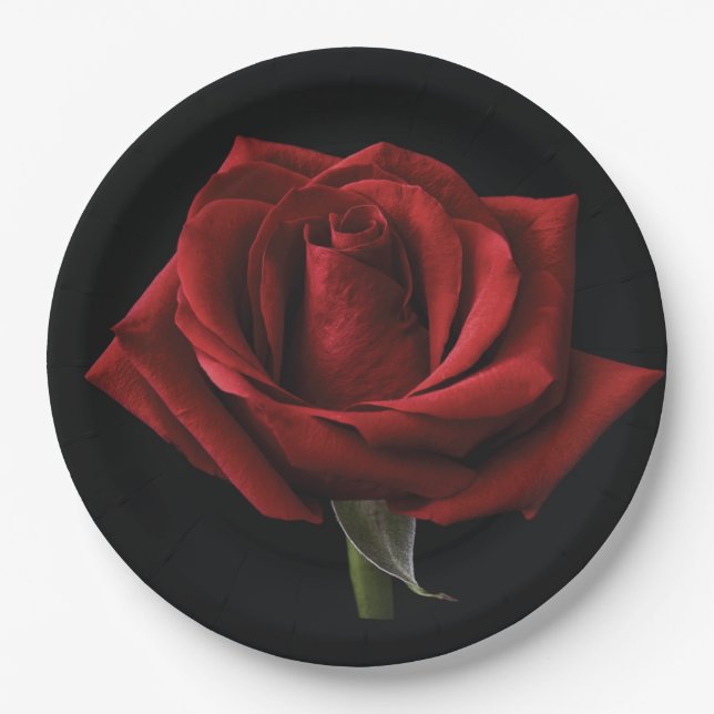 Assiettes En Carton oreiller rouge (Devant)