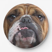 Oreillers à lancer de Bulldog anglais