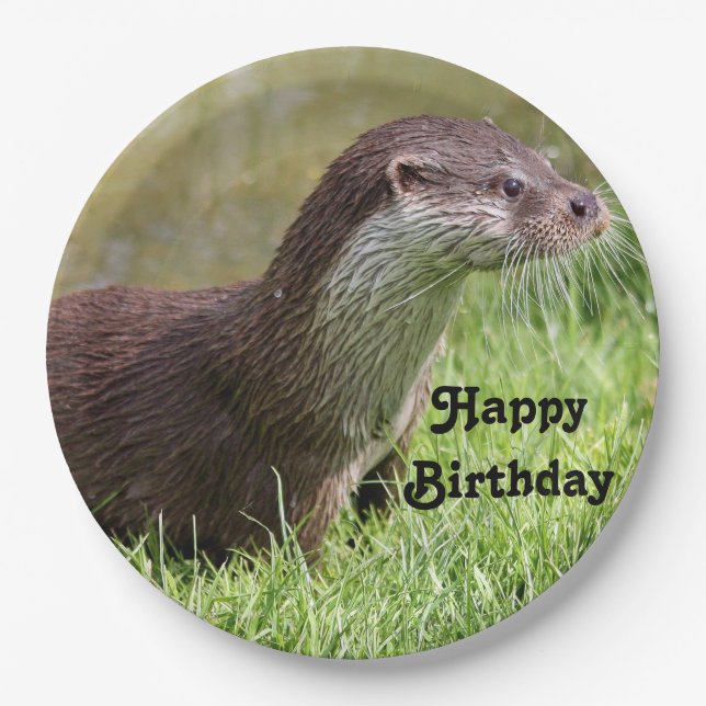 Assiettes En Carton Otter Grass Faune Photo Anniversaire (Devant)