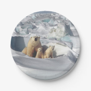 Assiettes En Carton Ours Polaire Cubs Photo Neige