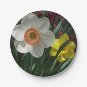 Assiettes En Carton Pair of Daffodils Pink and Yellow Spring Flowers