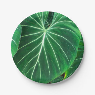 Assiettes En Carton Palm Leaf, feuillage tropical, forêt tropicale