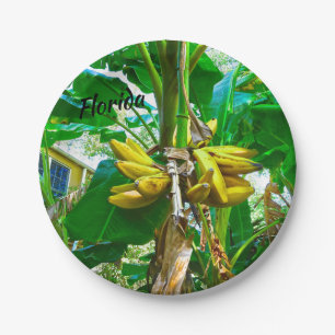 Assiettes En Carton Palmier tropical St Augustine la Floride de banane