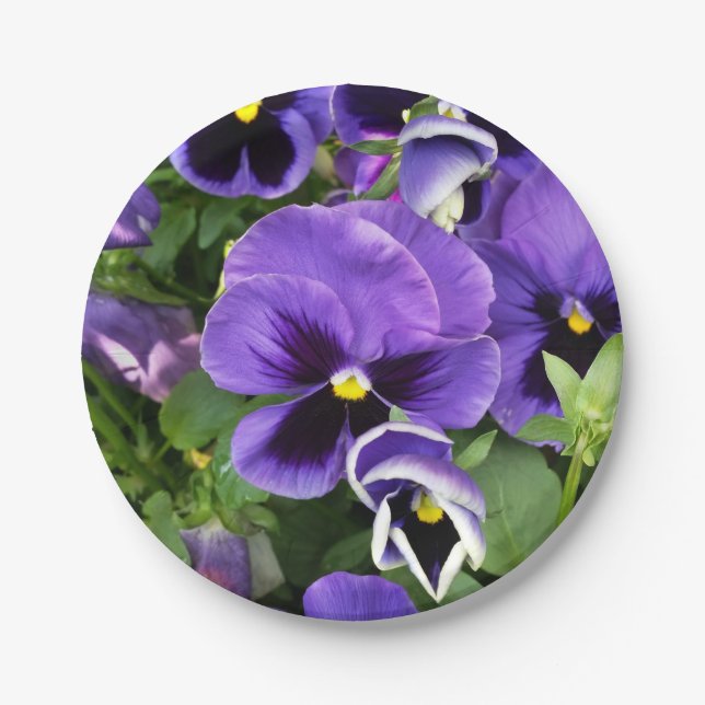 Assiettes En Carton panneaux violets (Devant)