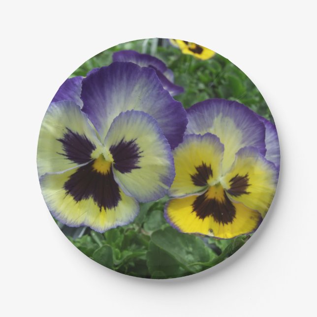 Assiettes En Carton Pansies jolies, violettes et jaunes, personnalisée (Devant)