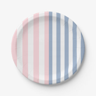 Assiettes En Carton Paper Plates, Pink Blue & White Stripe