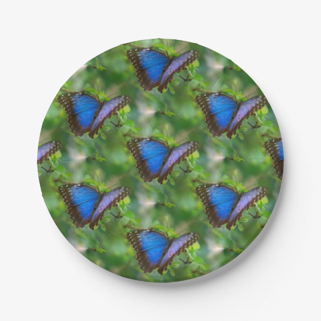 Assiettes En Carton Papillon bleu (Devant)