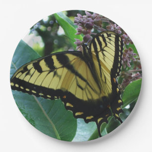 Assiettes En Carton Papillon Swallowtail I sur Milkweed à Shenandoah