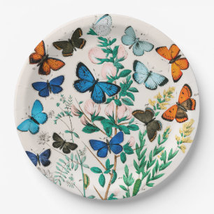 Assiettes En Carton Papillons, chenilles de William Forsell Kirby