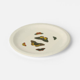 Assiettes En Carton Papillons lumineux par Pieter Cramer