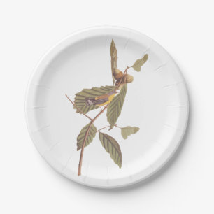 Assiettes En Carton Paruline de Swainson d'Audubon sur chêne Branche
