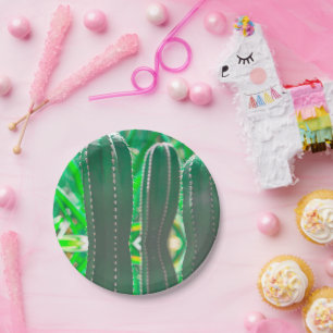 Assiettes En Carton Pastel Green cactus plante pastel feuille