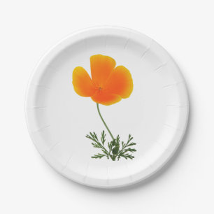 Assiettes En Carton pavot orange