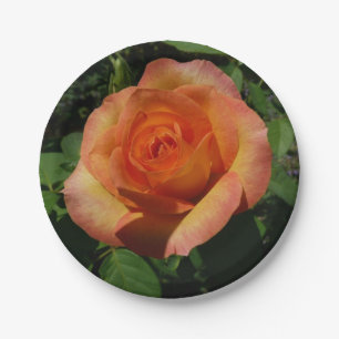 Assiettes En Carton Peach Rose Orange Floral Photographie