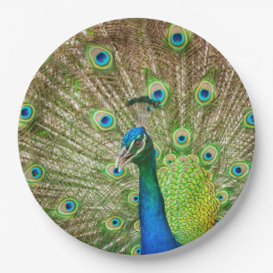 Assiettes En Carton Peacock