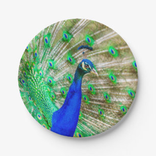 Assiettes En Carton Peacock Plumage