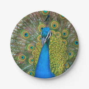 Assiettes En Carton Peacock S9K.jpg