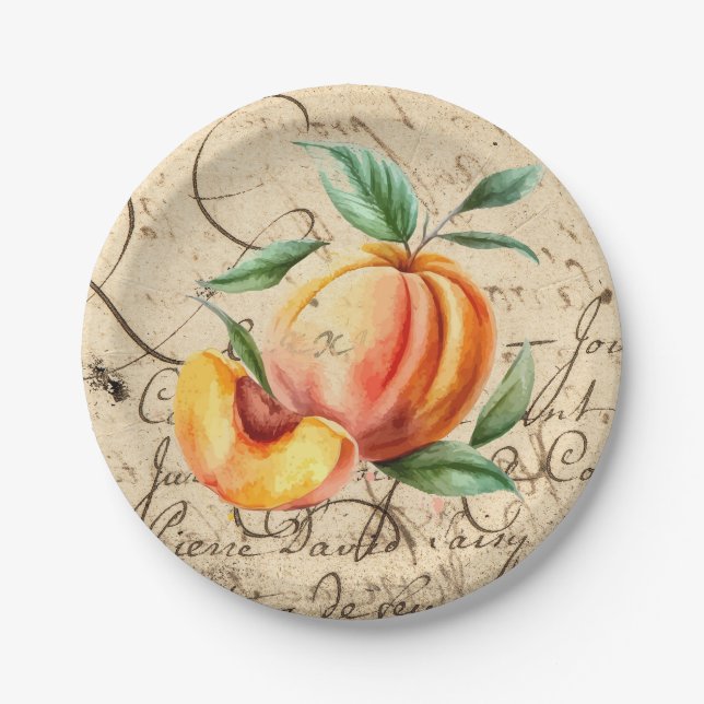 Assiettes En Carton pêche aquarelle (Devant)